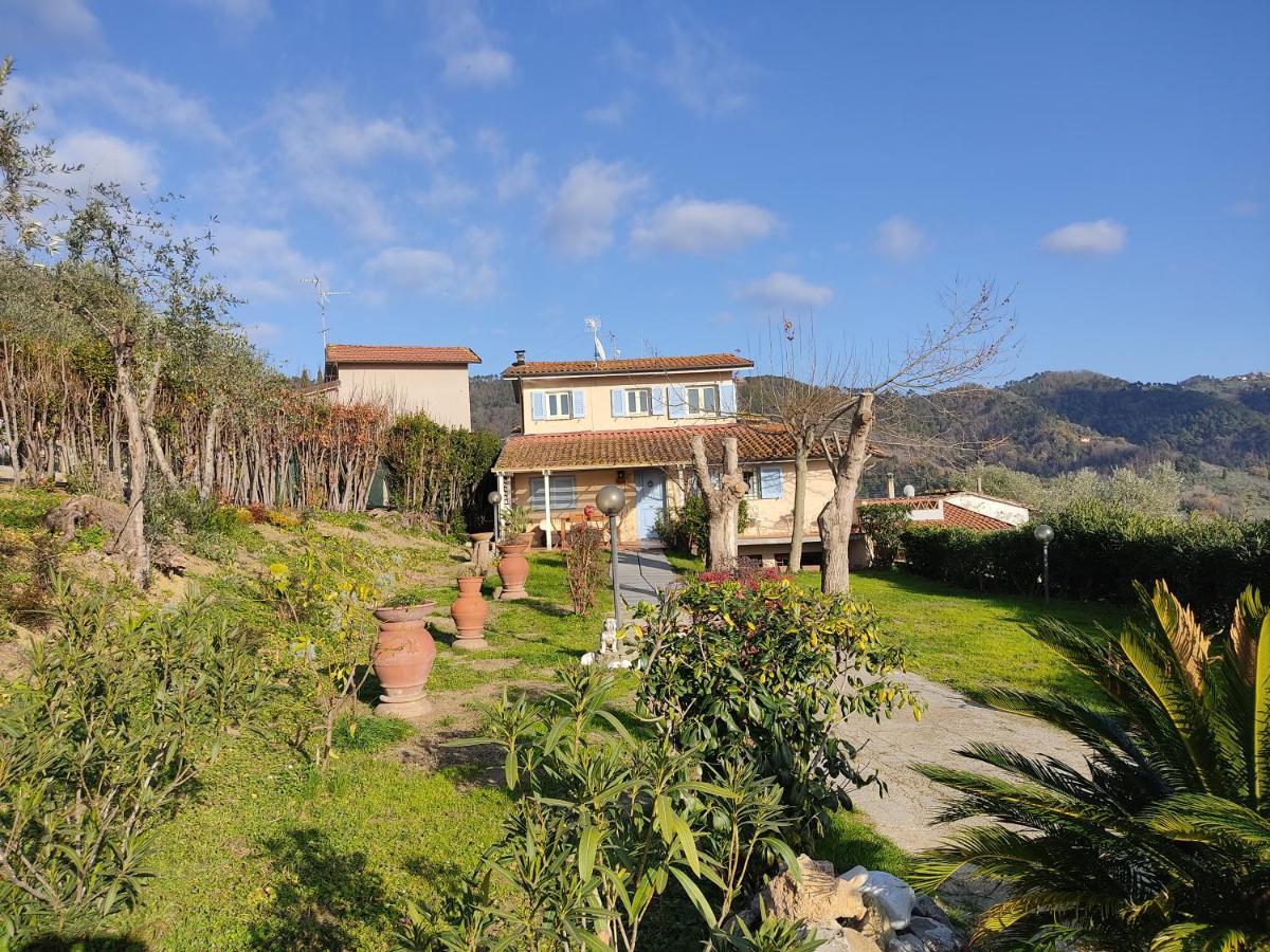La Tana Del Geco Villa Massarosa Exterior foto
