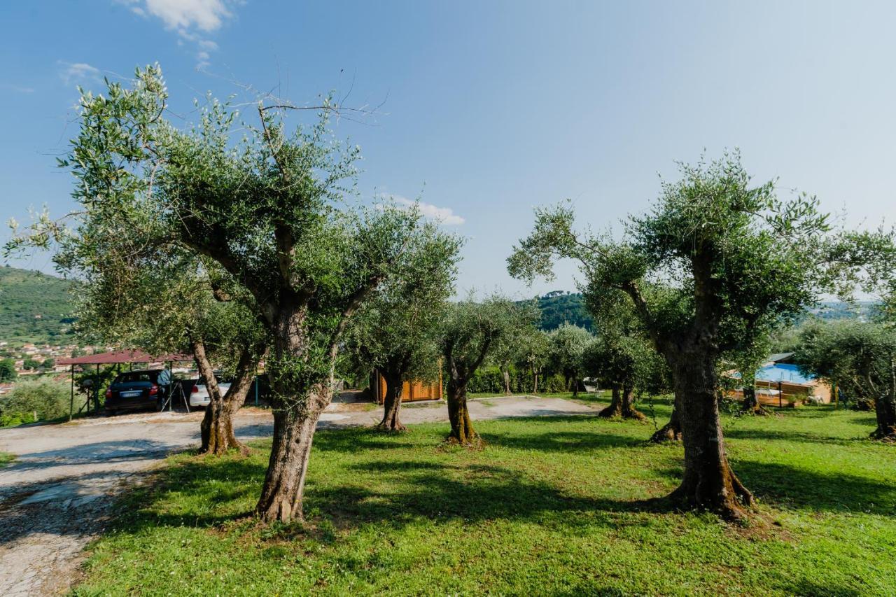 La Tana Del Geco Villa Massarosa Exterior foto