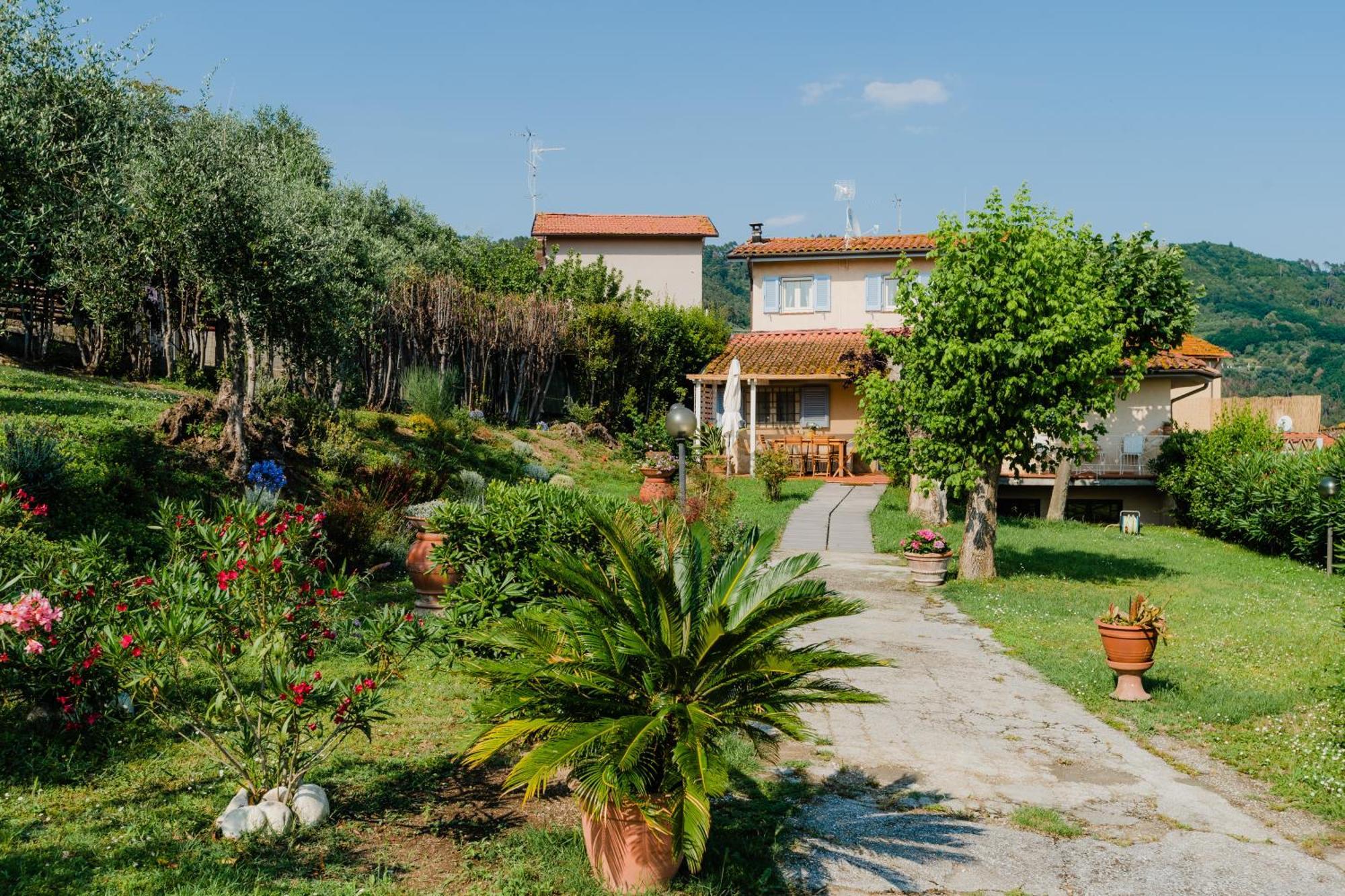 La Tana Del Geco Villa Massarosa Exterior foto